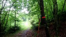  Blick auf die Wanderstrecke 